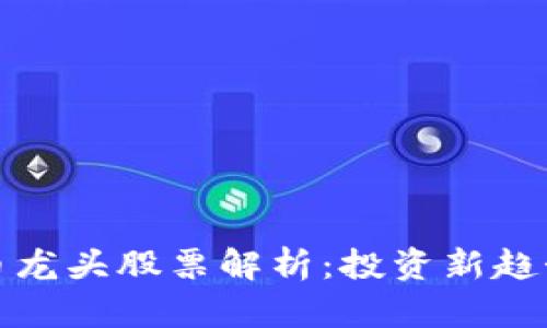 数字加密货币龙头股票解析：投资新趋势及市场前景