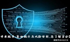 中本聪币：真相揭示与风