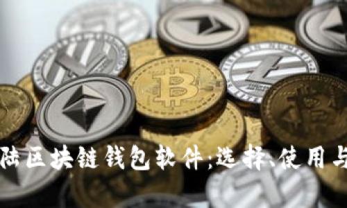 全面解析大陆区块链钱包软件：选择、使用与安全性指南